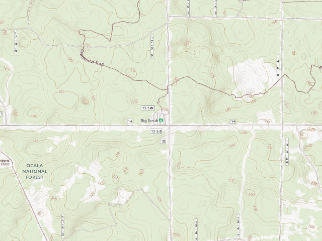 USGS topographic map of Big Scrub