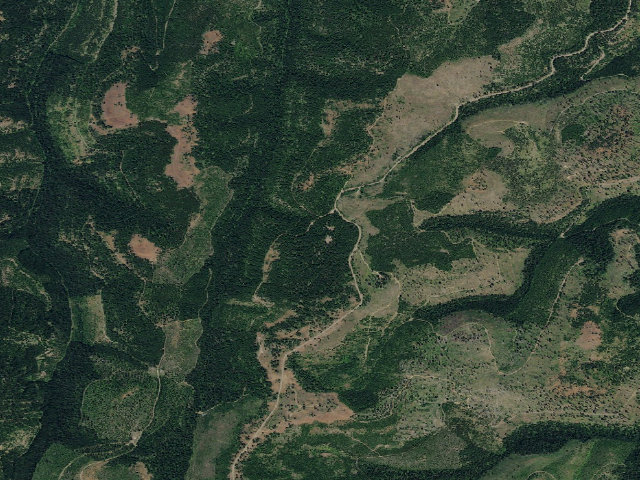 Aerial image of Big Springs
