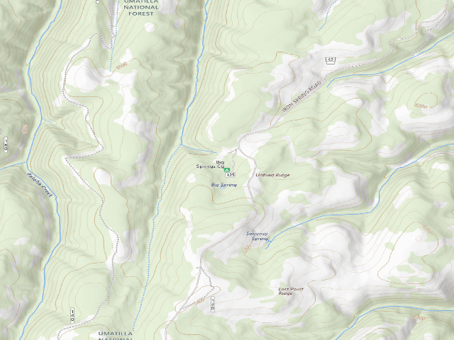 USGS topographic map of Big Springs