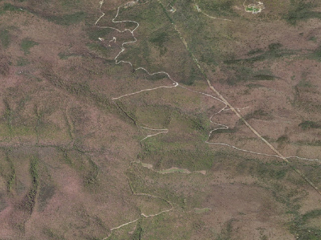 Aerial image of Big Survey WMA