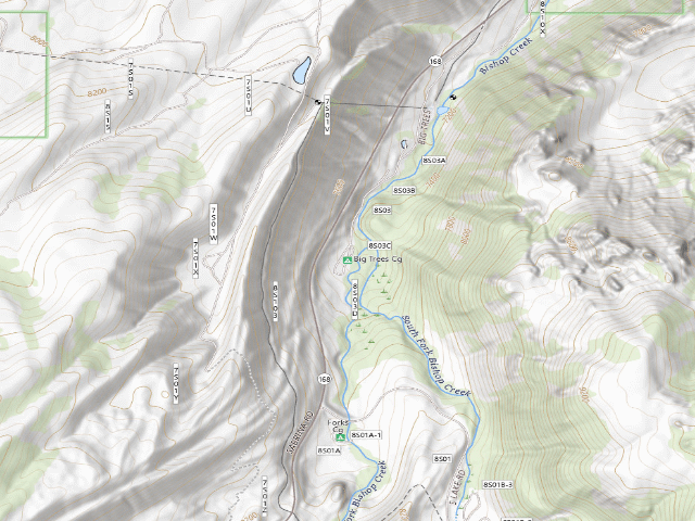 USGS topographic map of Big Trees Cg