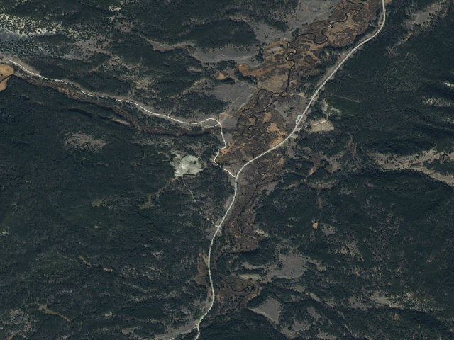 Aerial image of Big Trees