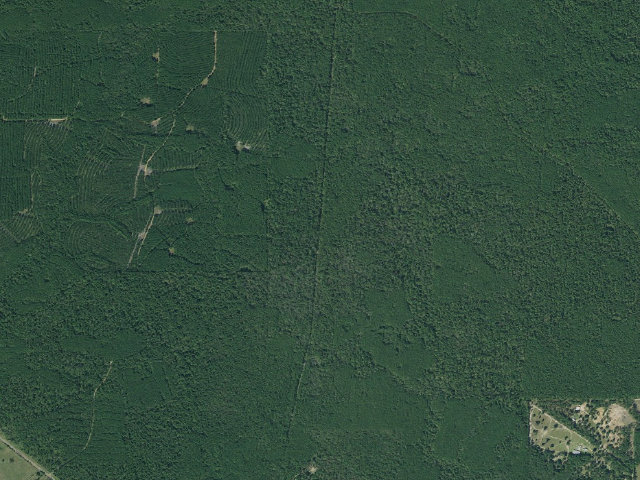 Aerial image of Big Woods Trail Camp