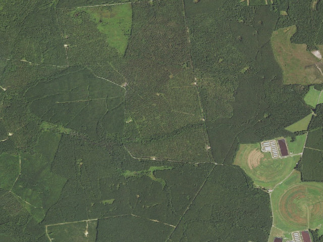 Aerial image of Big Woods WMA