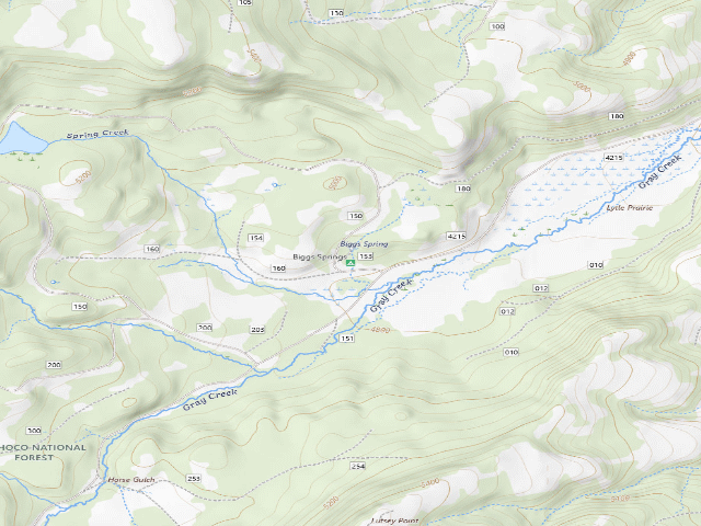 USGS topographic map of Biggs Springs