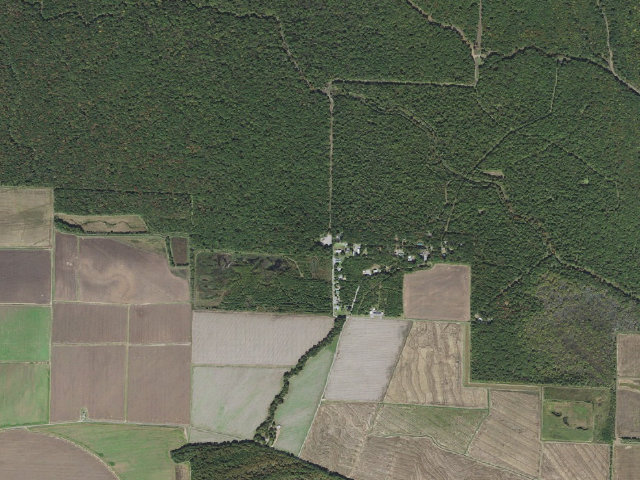 Aerial image of Bill Bridgeforth Long Pond Access Camping Area