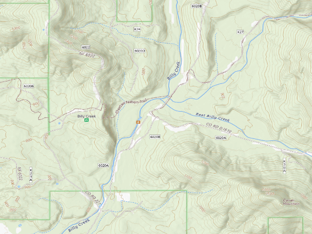 USGS topographic map of Billy Creek
