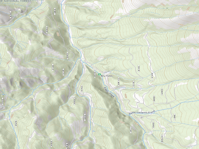 USGS topographic map of Billy Fields