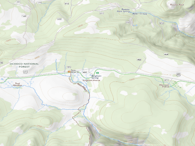 USGS topographic map of Bingham Spring