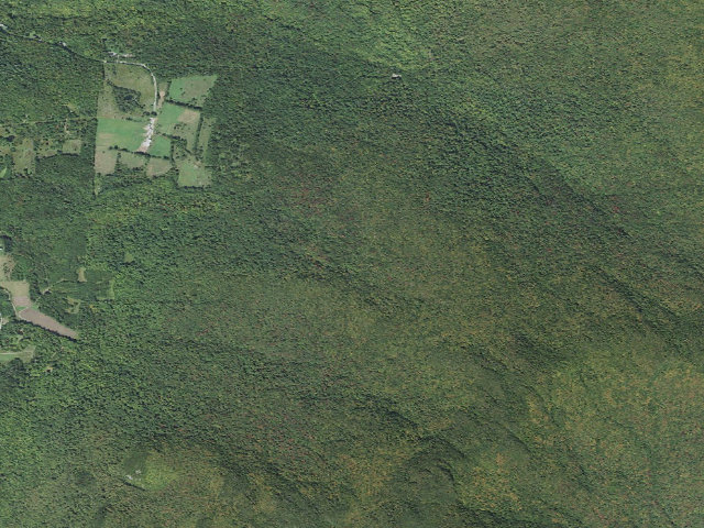Aerial image of Birch Glen Camp
