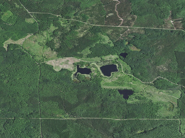 Aerial image of Birch Grove Campground