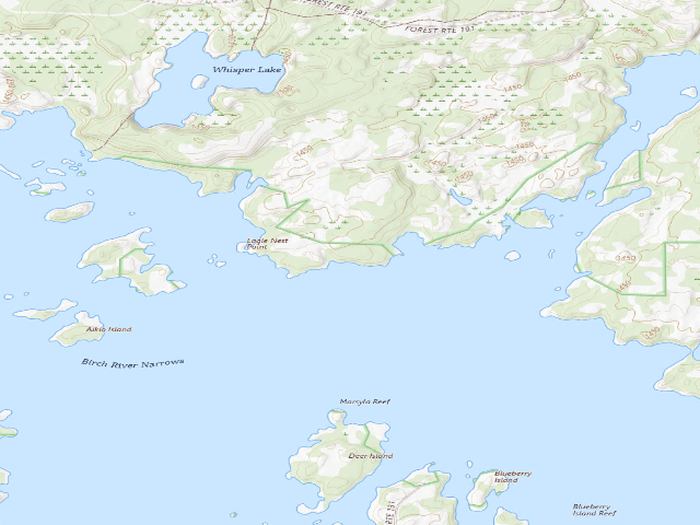 USGS topographic map of Birch Lake Site 14