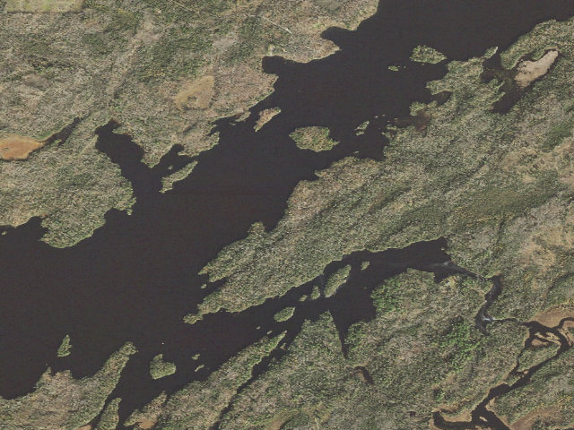 Aerial image of Birch Lake Site 4