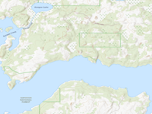 USGS topographic map of Birch Lake Site 8