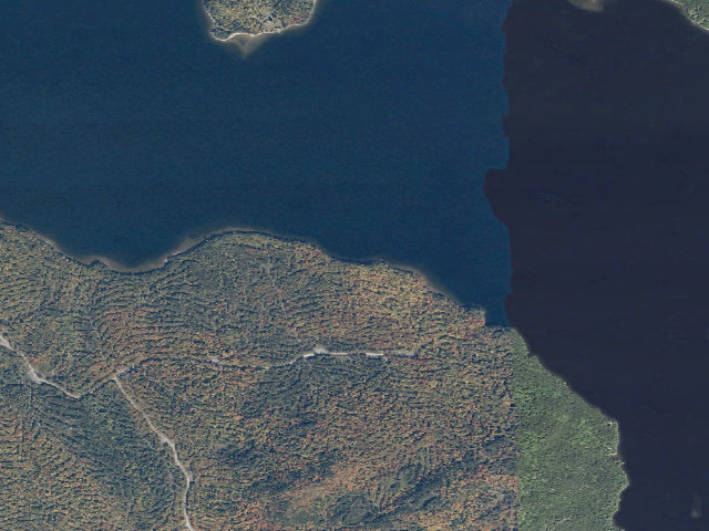 Aerial image of Birch Path (Moosehead Lake Shoreline Public Land)