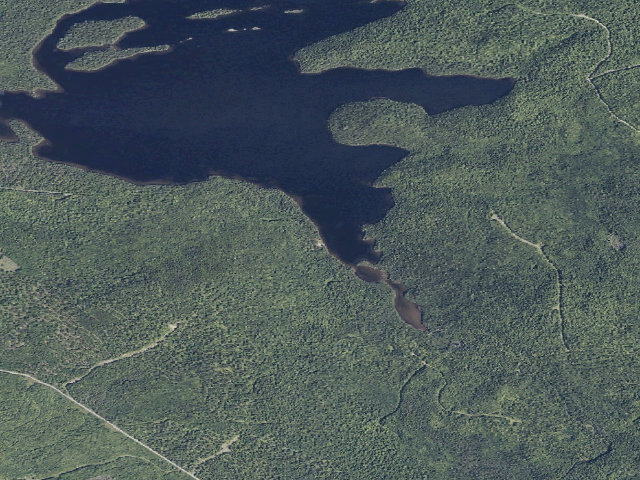 Aerial image of Birches (Scraggly Lake Public Land)