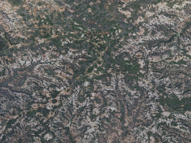 Aerial image of Birdwell Camp (Sandy Sanders WMA)