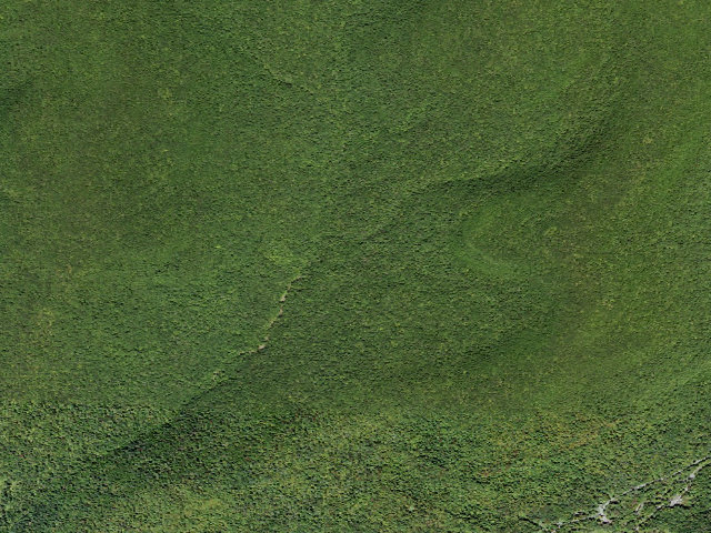 Aerial image of Biscuit Brook Primitive Campsite [DEC #228717] (Big Indian Wilderness)