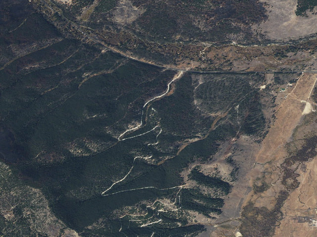 Aerial image of Bitteroot Flowers
