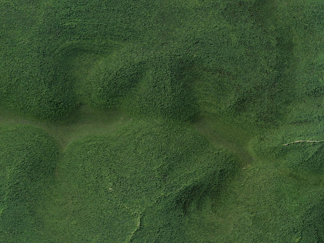 Aerial image of Black Dome Range Trail Primitive Tent Site [DEC #16254] (Windham Blackhead Range Wilderness)
