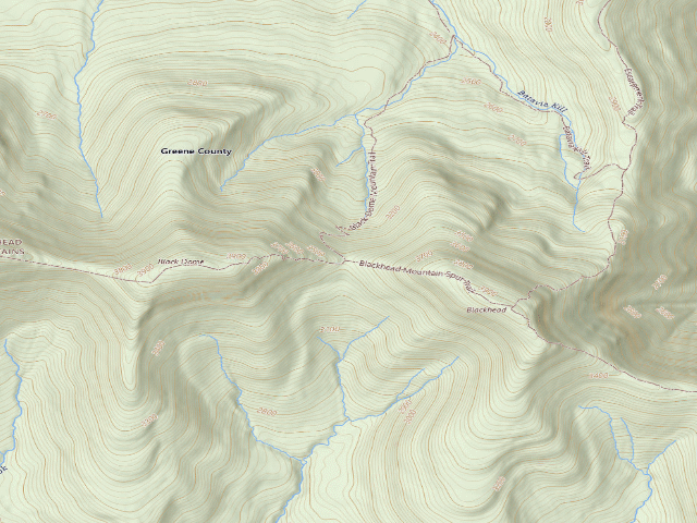 USGS topographic map of Black Dome Range Trail Primitive Tent Site [DEC #16254] (Windham Blackhead Range Wilderness)