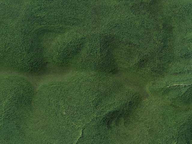 Aerial image of Black Dome Range Trail Primitive Tent Site [DEC #16253] (Windham Blackhead Range Wilderness)