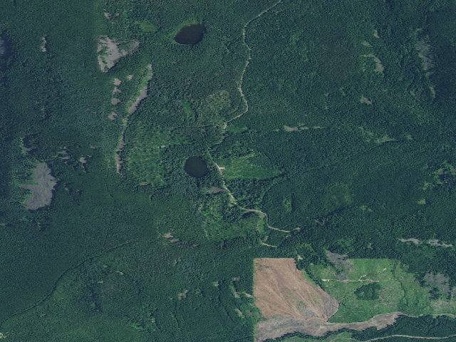 Aerial image of Black Lake