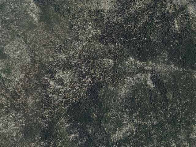 Aerial image of Black Mountain Group Campground