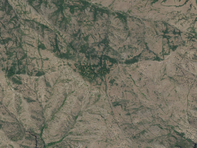 Aerial image of Black Oak Grove