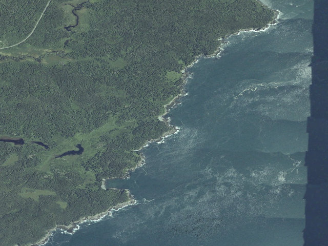 Aerial image of Black Point Cove (Cutler Coast Public Land)