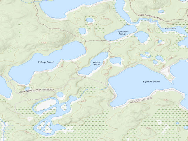 USGS topographic map of Black Pond Campsite (Saranac Lakes Wild Forest)