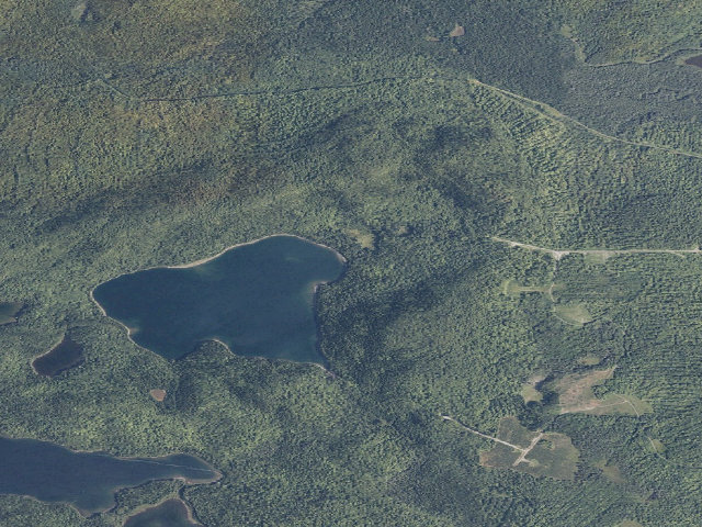 Aerial image of Black Pond East (Deboullie Public Land)