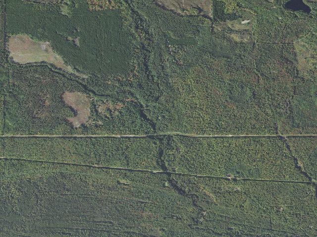 Aerial image of Black River State Forest Campground