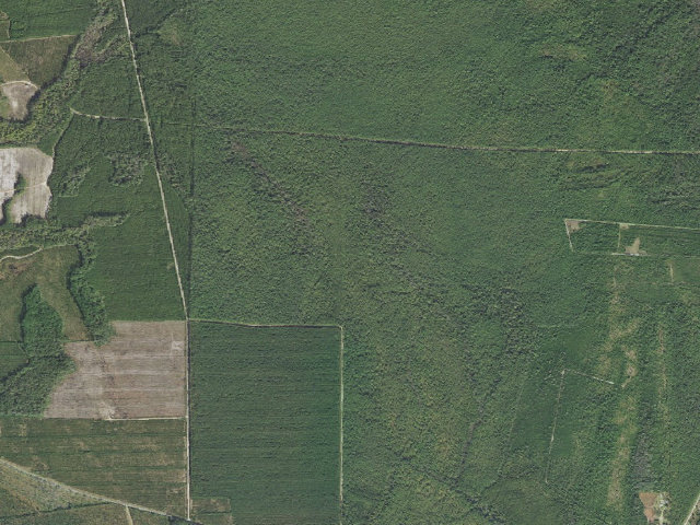 Aerial image of Blackjack Lodge Shelter