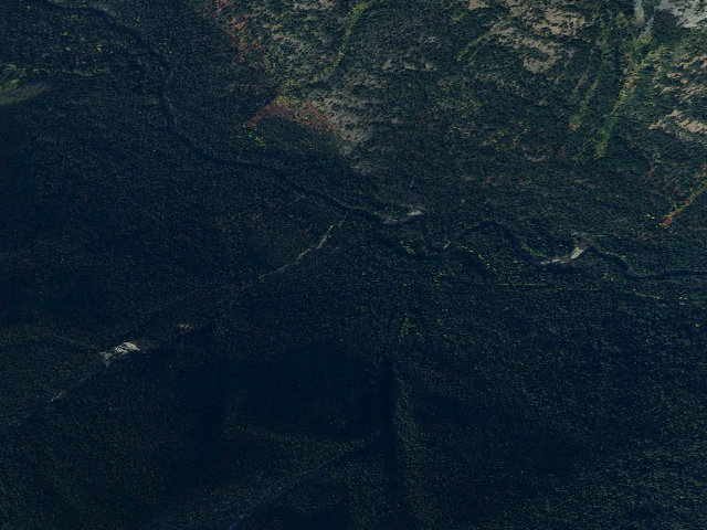 Aerial image of Blackpine