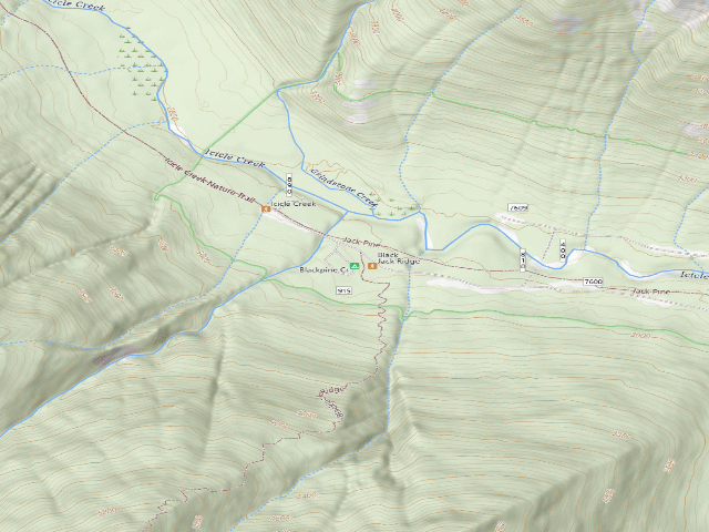 USGS topographic map of Blackpine