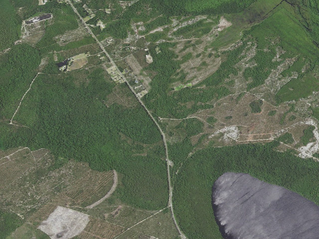 Aerial image of Bladen Lakes State Forest Game Land camping area #2