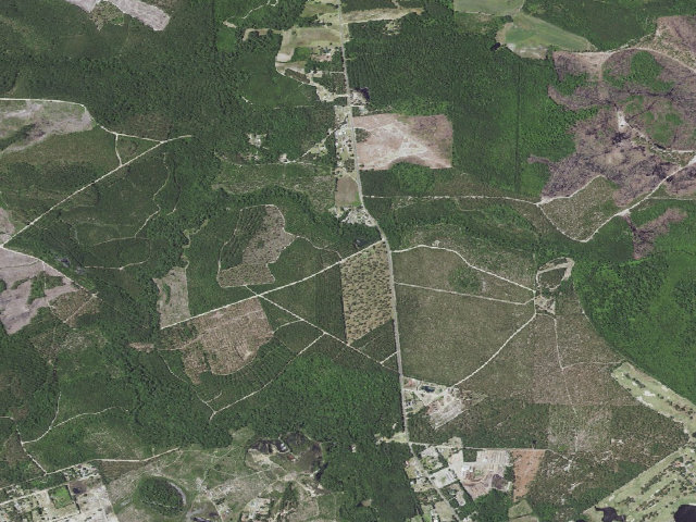 Aerial image of Bladen Lakes State Forest Game Land camping area #1