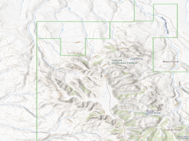 USGS topographic map of Blarney Castle Point