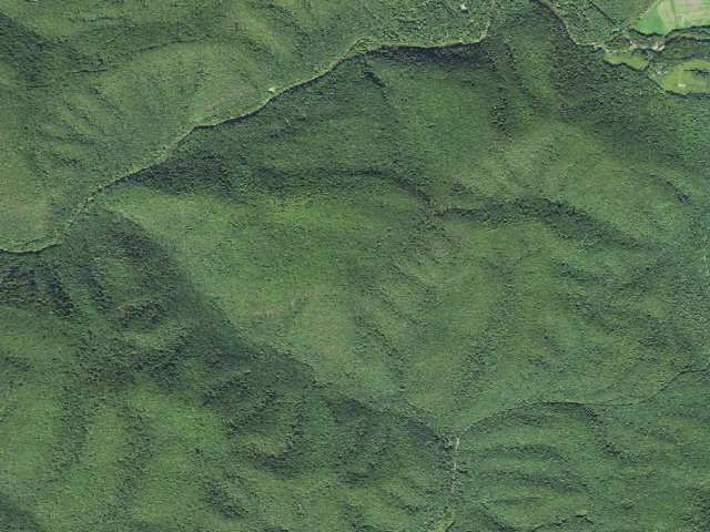 Aerial image of Blue Bend Loop Trail Shelter