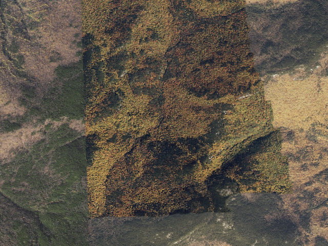 Aerial image of Blue Brook Tent Site