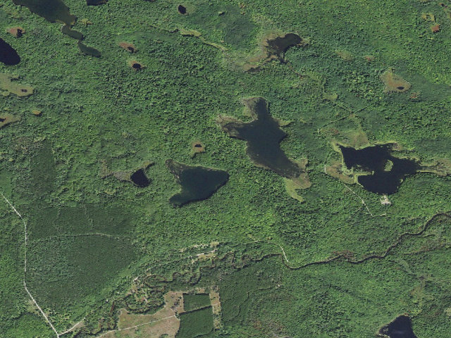 Aerial image of Blue Joe Lake Camping Area