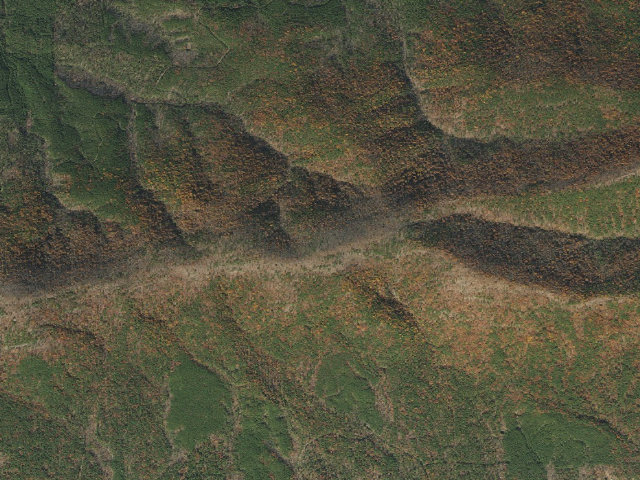 Aerial image of Blue Mountain Trail Shelter