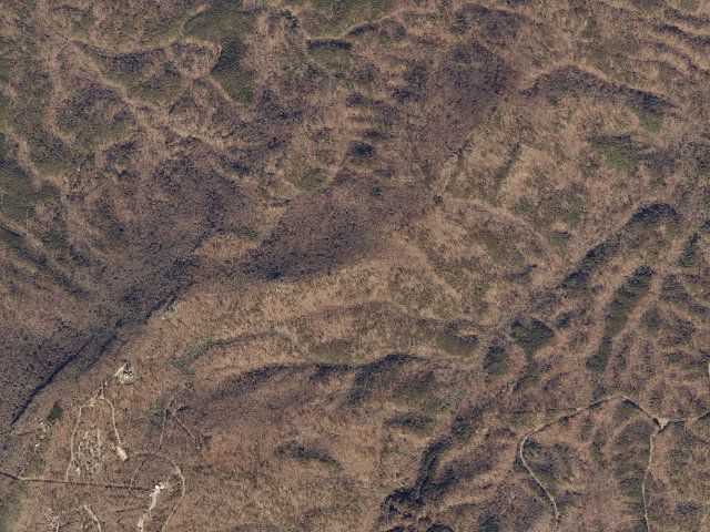 Aerial image of Blue Mtn. Trail Shelter Site