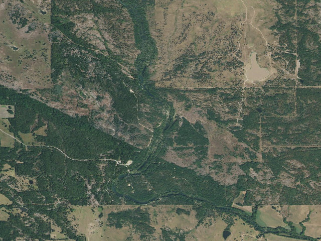 Aerial image of Blue River PFHA primitive camp #1