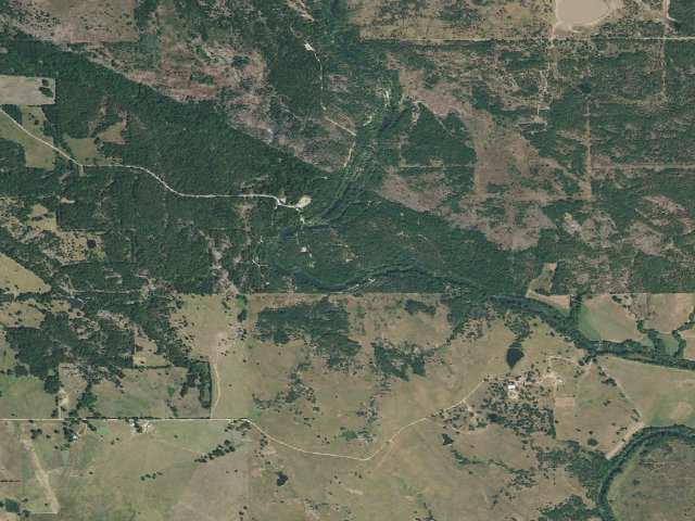 Aerial image of Blue River PFHA primitive camp #6