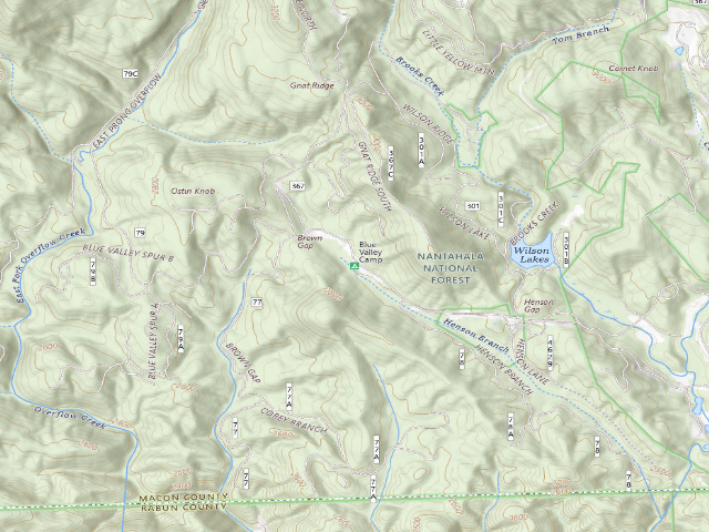 USGS topographic map of Blue Valley Camp