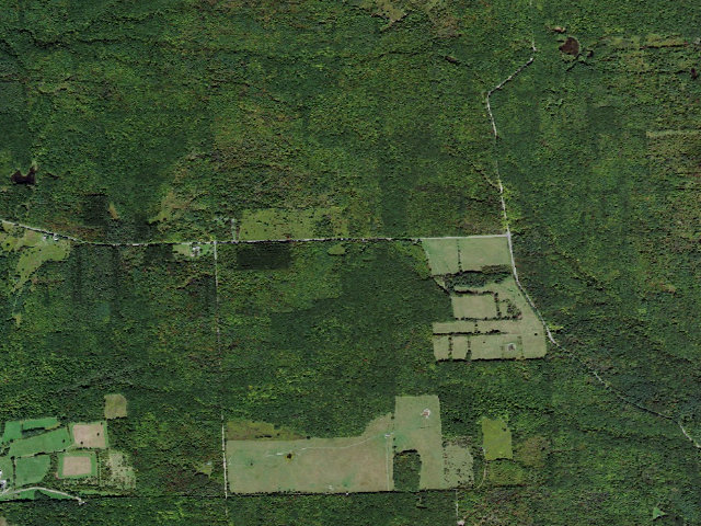 Aerial image of Blueberry Patch