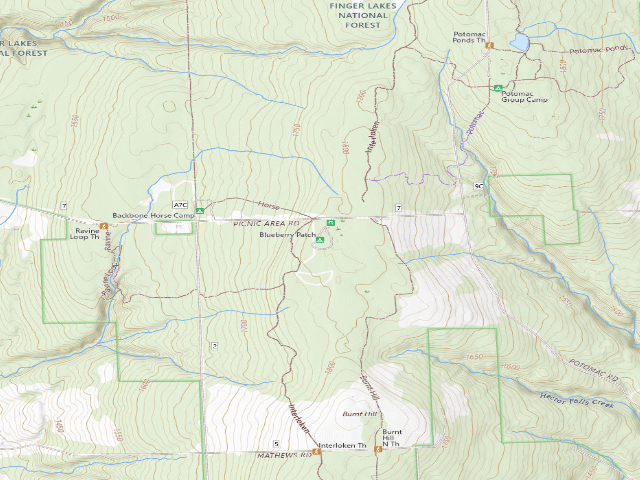 USGS topographic map of Blueberry Patch