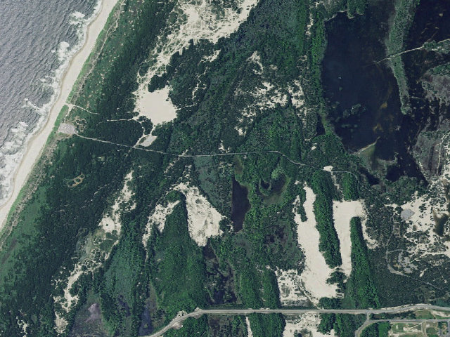 Aerial image of Bluebill Campground